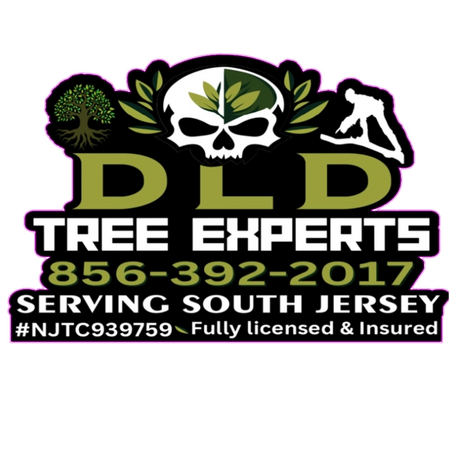 DLD Tree Experts DLD Tree Experts